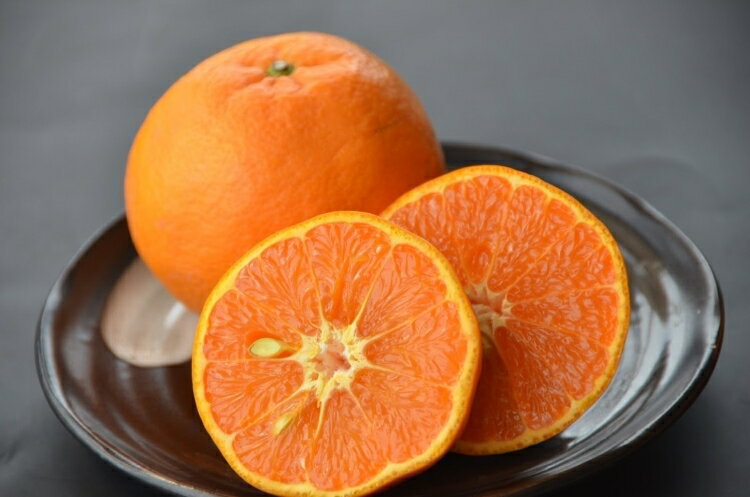 【ふるさと納税】 カラマンダリン 約3kg 約5kg / サイズおまかせ ※2026年4月上旬〜5月上旬頃に順次発送予定(お届け日指定不可) 紀伊国屋文左衛門本舗 サムネイル2