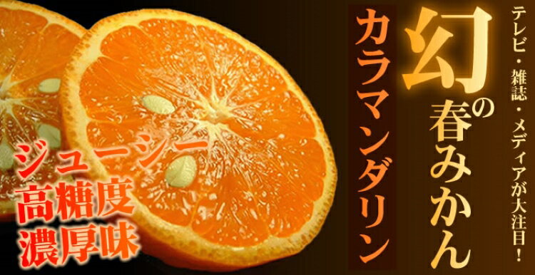 【ふるさと納税】 カラマンダリン 約3kg 約5kg / サイズおまかせ ※2026年4月上旬〜5月上旬頃に順次発送予定(お届け日指定不可) 紀伊国屋文左衛門本舗 サムネイル3