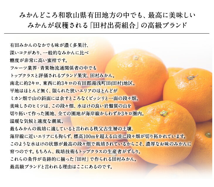 【ふるさと納税】 田村みかん 秀品5キロ サイズおまかせ/紀伊国屋文左衛門本舗 ◆2025年11月下旬～2026年1月中旬頃に順次発送予定(お届け日指定不可)【予約受付】 サムネイル3