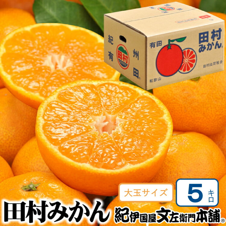 【予約受付】田村みかん 5kg 秀品【大玉サイズ】/紀州和歌山有田郡湯浅町田村地区産 ◆2025年11月下旬～2026年1月中旬頃に順次発送(お届け日指定不可) 紀伊国屋文左衛門本舗