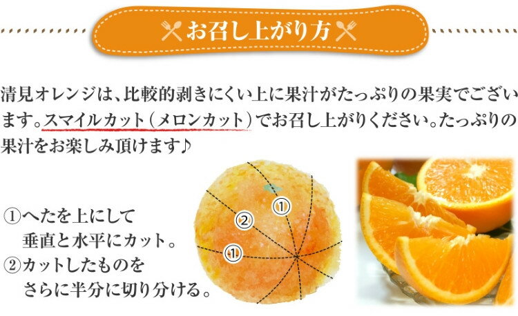 【ふるさと納税】 田村産清見オレンジ[約4.5kg]湯浅町田村産春みかん(果実サイズおまかせ)/紀伊国屋文左衛門本舗 ※2026年3月中旬〜2026年4月下旬頃発送予定 サムネイル3