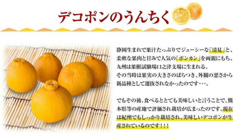 【ふるさと納税】 田村産「デコ」不知火[約3kg]湯浅町田村産春みかん(果実サイズおまかせ)/紀伊国屋文左衛門本舗 ※2026年2月中旬〜2026年3月下旬頃に順次発送予定(お届け日指定不可) サムネイル2