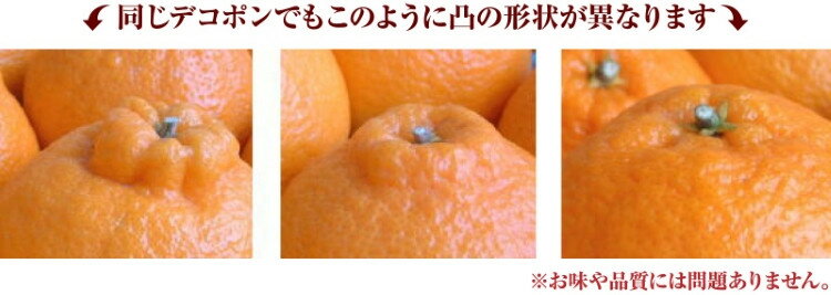 【ふるさと納税】 田村産「デコ」不知火[約3kg]湯浅町田村産春みかん(果実サイズおまかせ)/紀伊国屋文左衛門本舗 ※2026年2月中旬〜2026年3月下旬頃に順次発送予定(お届け日指定不可) サムネイル3