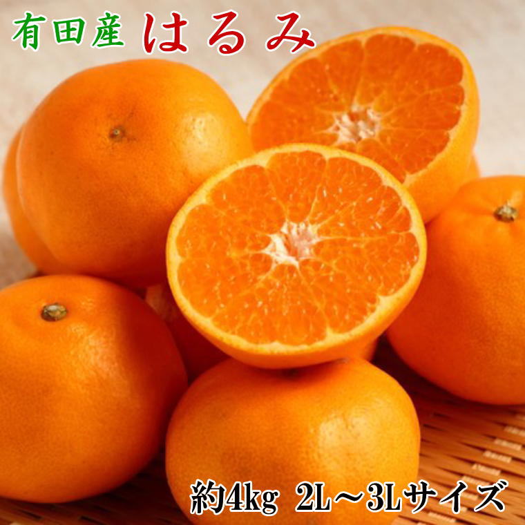 【厳選・濃厚】紀州有田産のはるみ約4kg(サイズおまかせ) ※2026年1月下旬～2026年2月中旬頃より順次発送【tec820B】