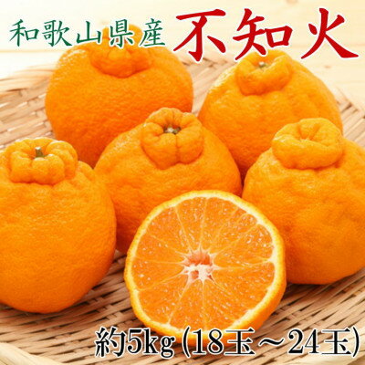 和歌山県産 不知火 約5kg（18玉〜24玉おまかせ） ※2026年2月下旬～2026年4月中旬頃に順次発送予定（日付指定不可）