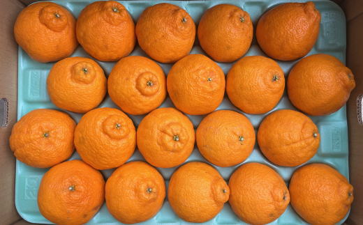 【ふるさと納税】 和歌山県産 不知火 約5kg（18玉〜24玉おまかせ） ※2026年2月下旬～2026年4月中旬頃に順次発送予定（日付指定不可） サムネイル2