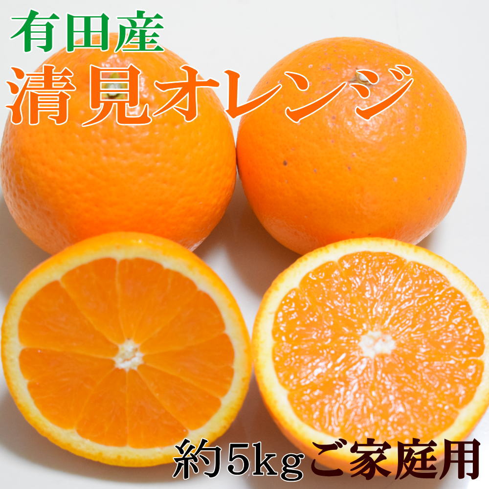 【濃厚】有田産清見オレンジ約5kg(M〜3Lサイズおまかせ)ご家庭用 ※2026年2月中旬～2026年3月中旬頃に順次発送予定（日付指定不可）【tec959A】