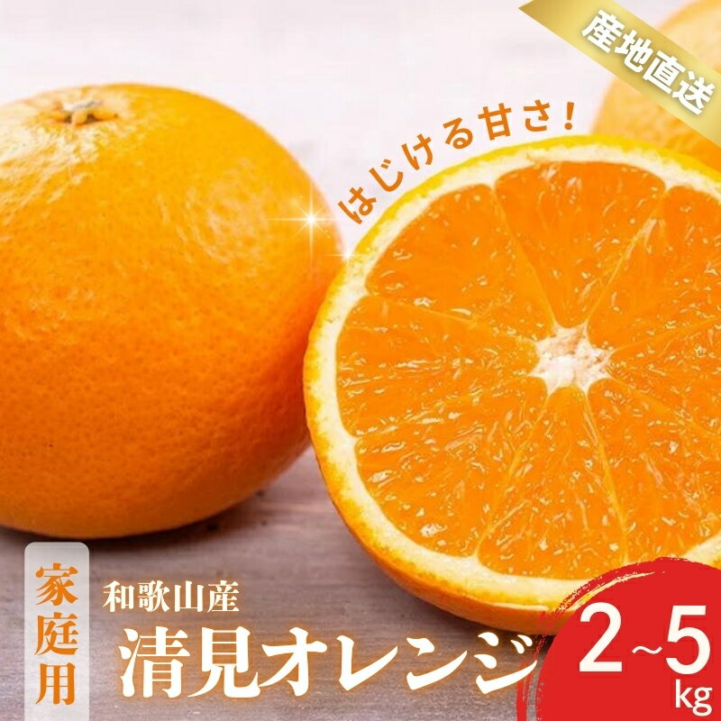 【先行予約】訳あり 家庭用 きよみ 清見オレンジ 和歌山 有田 S〜2Lサイズ 大きさお任せ 2kg / 3kg / 5kg 【2月中旬〜3月下旬頃に順次発送】/ みかん フルーツ 果物 くだもの 蜜柑 柑橘