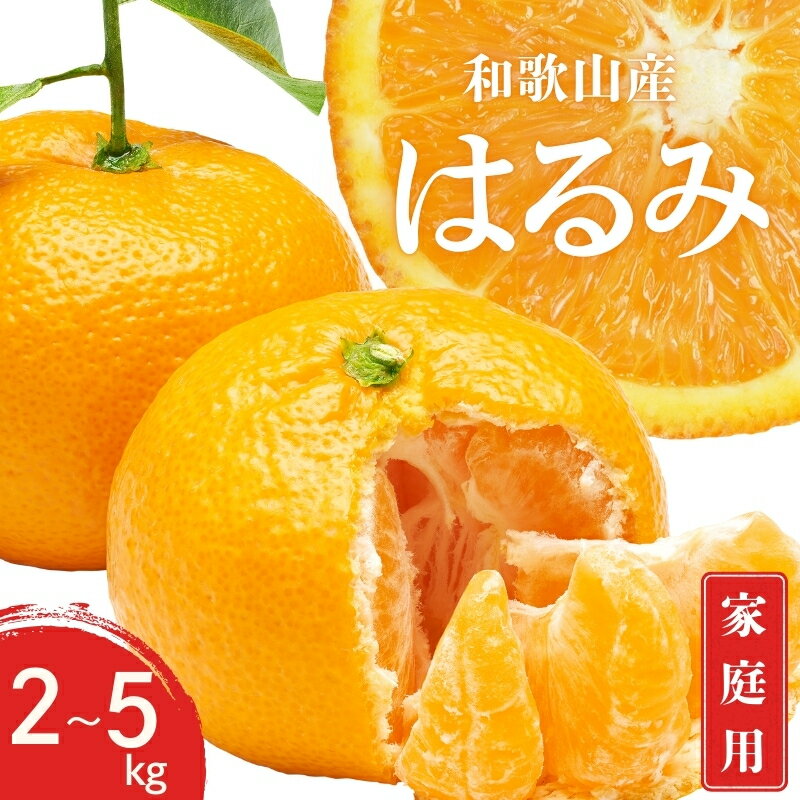 【先行予約】訳あり 家庭用 はるみ 和歌山 有田 S〜3Lサイズ 大きさお任せ 2kg / 3kg / 5kg 【1月下旬〜3月下旬までに順次発送予定】 / みかん フルーツ 果物 くだもの 蜜柑 柑橘