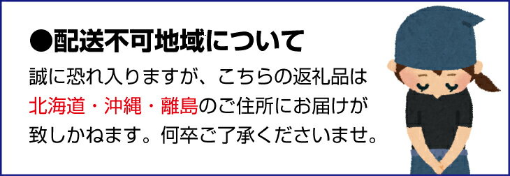【ふるさと納税】家庭用 小さな有田みかん (S以下) 【選べる容量】2.5kg 5kg 7.5kg 10kg【わけあり・訳あり】【光センサー選果】＜2025年10月より順次発送予定＞ / みかん ミカン 果物 果実 フルーツ オレンジ 小玉 訳あり 有田 有田みかん 和歌山 柑橘 訳アリ 小玉みかん サムネイル3