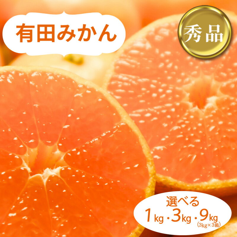 和歌山県産 有田みかん 秀品 選べる容量 1kg ・ 3kg ・ 9kg ※2025年10月下旬〜2026年1月中旬頃に順次発送予定（お届け日指定不可) ミカン 柑橘 みかん 和歌山 有田