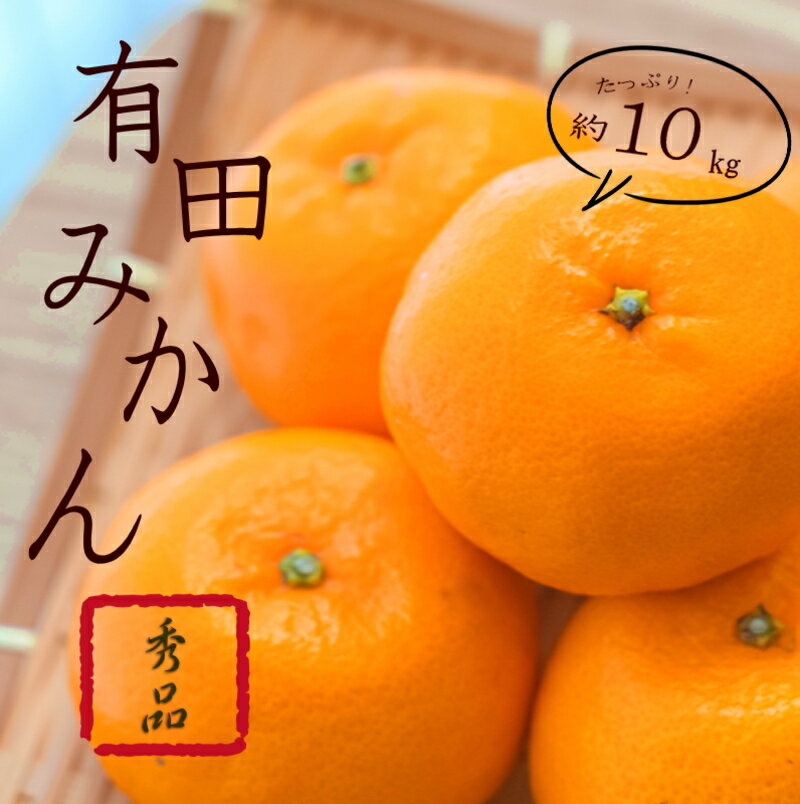 紀州有田みかん 秀品 約10kg サイズおまかせ(L・М・S) ミカン 柑橘 みかん 有田みかん 和歌山