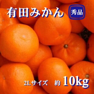 紀州 有田みかん 秀品 10kg（2Lサイズ） 温州みかん ミカン 蜜柑 柑橘 フルーツ ※2025年11月下旬〜2026年1月中旬頃順次発送予定
