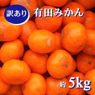 紀州 有田みかん 訳あり 約5kg ご家庭用 サイズ混合 温州みかん ミカン 蜜柑 柑橘 フルーツ ※2025年11月下旬〜2026年1月中旬頃順次発送予定 ※北海道・沖縄・離島配送不可