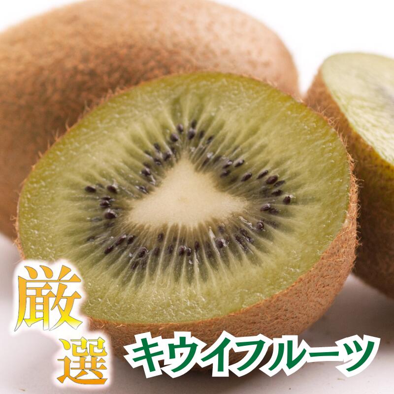 厳選 キウイフルーツ 【扁平果】【選べる容量】0.5kg 1kg 2.5kg 5kg ＜2025年11月中旬～2026年4月下旬ごろに順次発送＞/ キウイ きうい フルーツ 果物 果汁 和歌山