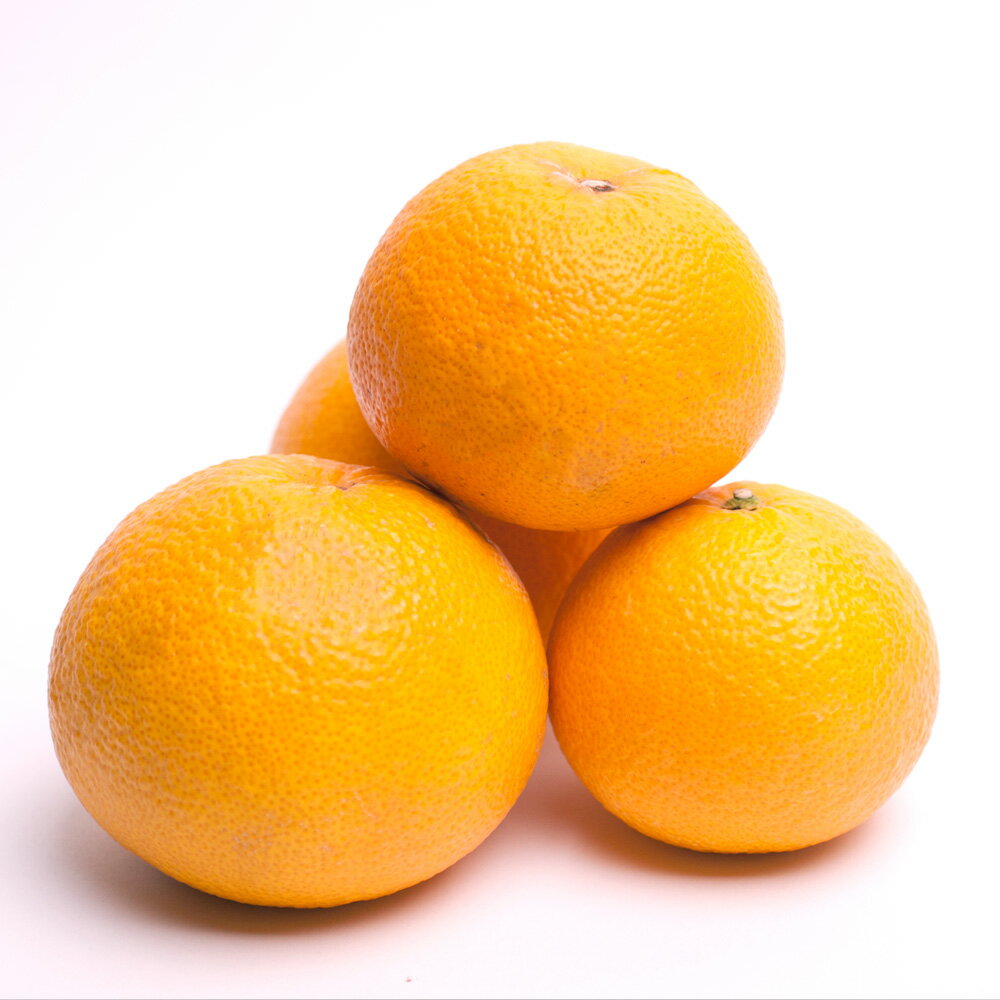 【ふるさと納税】 【先行予約】 厳選 はっさく 1kg 2.5kg 5kg 7.5kg 10kg＋250g（傷み補償分）【八朔みかん】＜2026年1月～4月下旬ごろに順次発送予定＞ / ハッサク みかん くだもの わかやま 和歌山 有田みかん ミカン 果物 おすすめ 柑橘 フルーツ 農家直送 サムネイル2