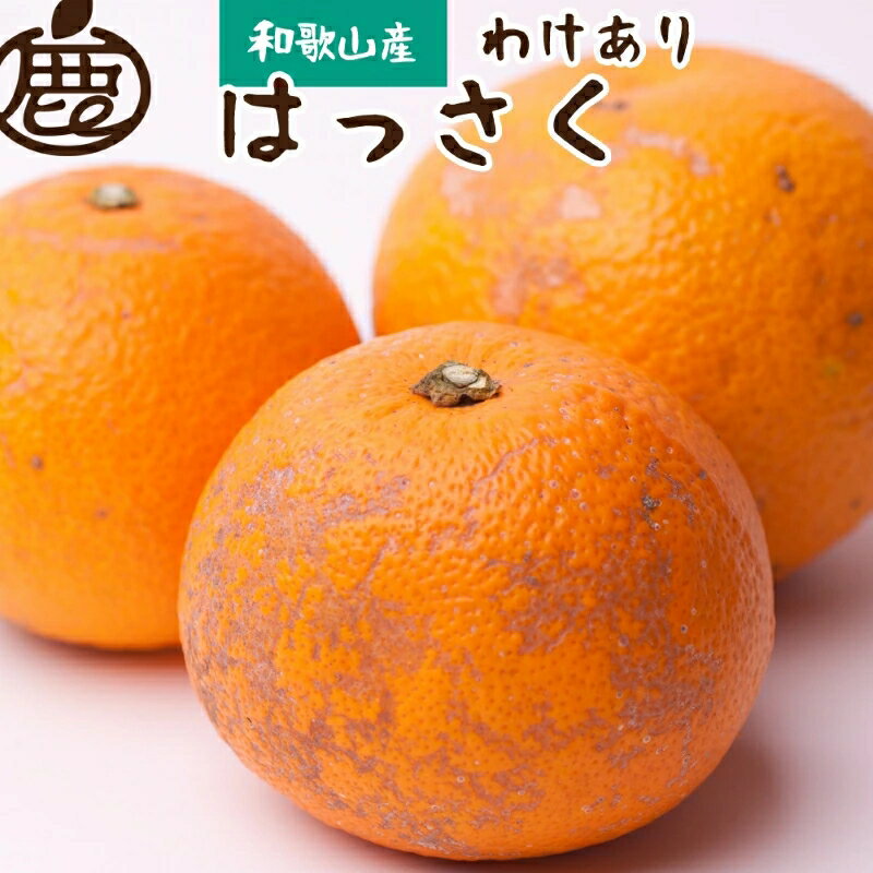 【先行予約】 家庭用 はっさく 1kg 2.5kg 5kg 7.5kg 10kg＋250g（傷み補償分）【八朔みかん】【わけあり】＜2026年1月～4月下旬ごろに順次発送予定＞ / 八朔 家庭用八朔 訳アリ みかん くだもの 果物 柑橘 和歌山 有田 有田みかん