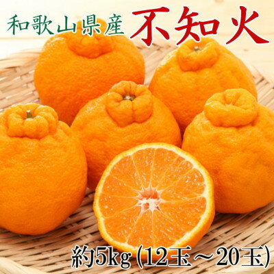 和歌山県産 不知火 約5kg（12玉〜20玉おまかせ） ※2026年2月下旬〜2026年4月中旬頃に順次発送予定（日付指定不可）