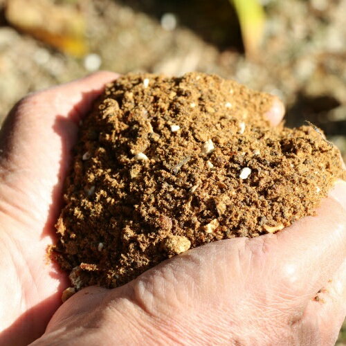 【ふるさと納税】 【先行予約】宮川早生みかん 贈答用 秀品 5kgまたは10kg（2S〜2L）【2025年11月下旬から12月中旬までに順次発送】 / みかん 蜜柑 柑橘 果物 フルーツ 早生 秀品 贈答 サムネイル3