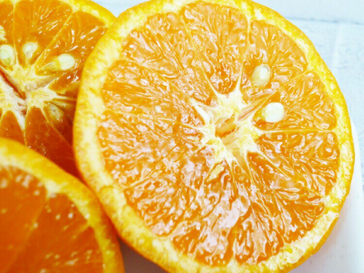 【ふるさと納税】 初夏のみかん なつみ5kg【予約】※2026年4月中旬頃〜2026年4月下旬頃に順次発送予定(お届け日指定不可) サムネイル2