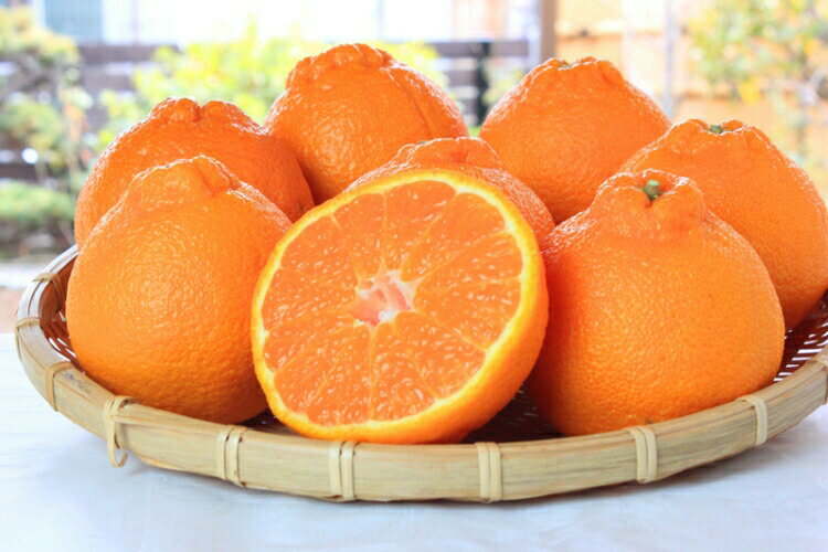 【ふるさと納税】 【ご家庭用訳あり】紀州有田産不知火(しらぬひ) 約3kg 約6kg 約8.5kg【予約】※2026年2月中旬頃〜2026年3月中旬頃に順次発送予定(お届け日指定不可) サムネイル3