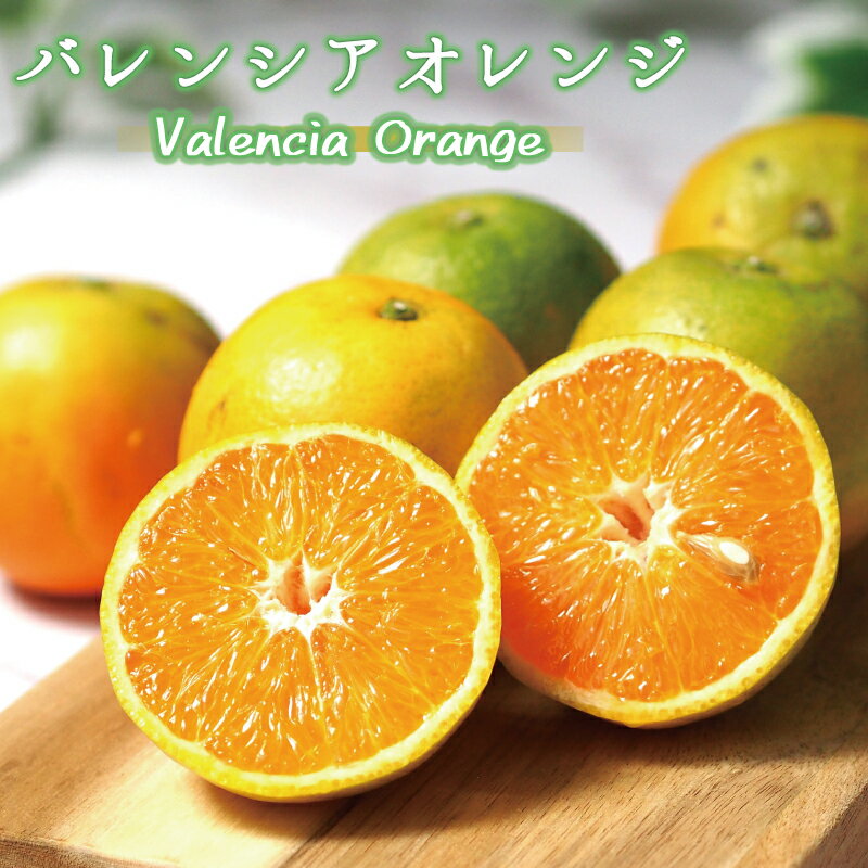 秀品 希少な国産バレンシアオレンジ 2.5kg ※2026年6月下旬頃～7月上旬頃順次発送予定（お届け日指定不可）