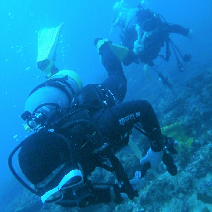 【ふるさと納税】 【1名様】2ボートダイブ pole pole @ sea / 和歌山県 串本町 体験 体験ギフト プレゼント アクティビティ ダイビング 一名 1名 一人 1人 ダイビング体験 - 画像2