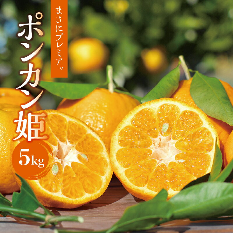 予約受付中！ポンカン姫 5kg 数量限定（プレミア和歌山認定商品）【1月上旬〜2月中旬発送予定】 ぽんかん フルーツ 果実 みかん ミカン オレンジ 旬 限定