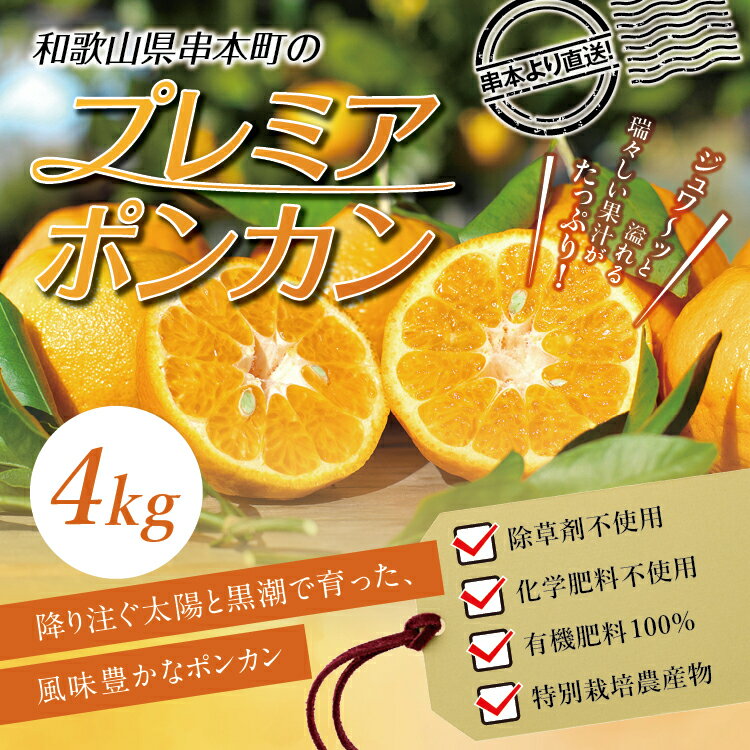 プレミアポンカン 2L〜3Lサイズ 4kg 節減対象農薬不使用 化学肥料不使用 【1月上旬〜2月上旬発送予定】 柑橘 ぽんかん フルーツ みかん ミカン オレンジ 限定 旬