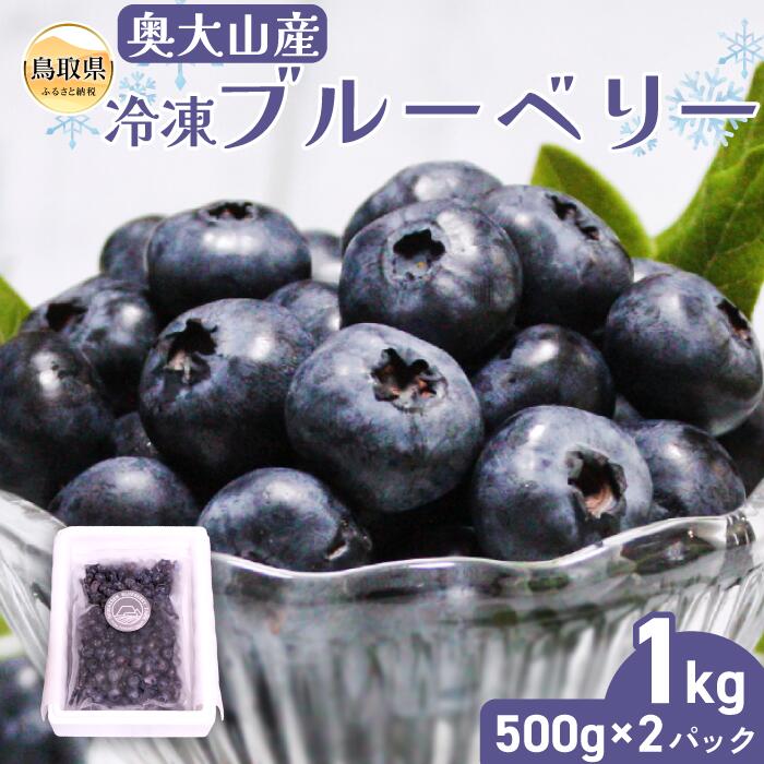 B24-208 奥大山産冷凍ブルーベリー500g×2パック 鳥取県 おすすめ 大山 だいせん 奥大山 おくだいせん ブルーベリー 冷凍