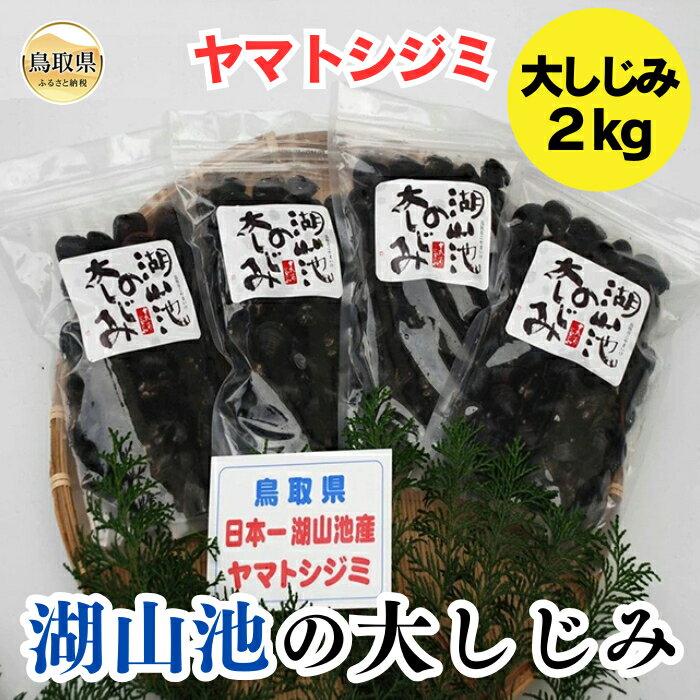 B24-070 鳥取市湖山池の大しじみ（冷凍・砂抜き） 鳥取県 おすすめ 500g×4 酒蒸し バター蒸し パスタ みそ汁 味噌汁 蜆 シジミ 貝