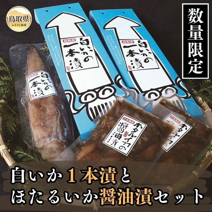 B24-071 白いか1本漬とほたるいか醤油漬セット【数量限定】 鳥取県 おすすめ 白いか ほたるいか 白いか1本漬 ほたるいか醤油漬