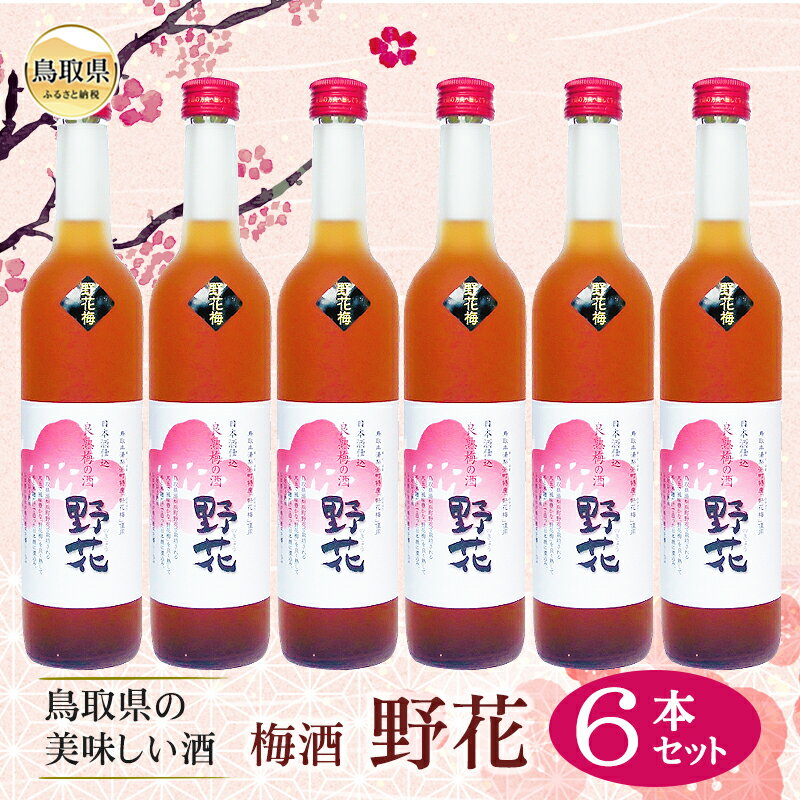 D25-011 鳥取県の美味しい酒　梅酒　野花（のきょう）6本セット