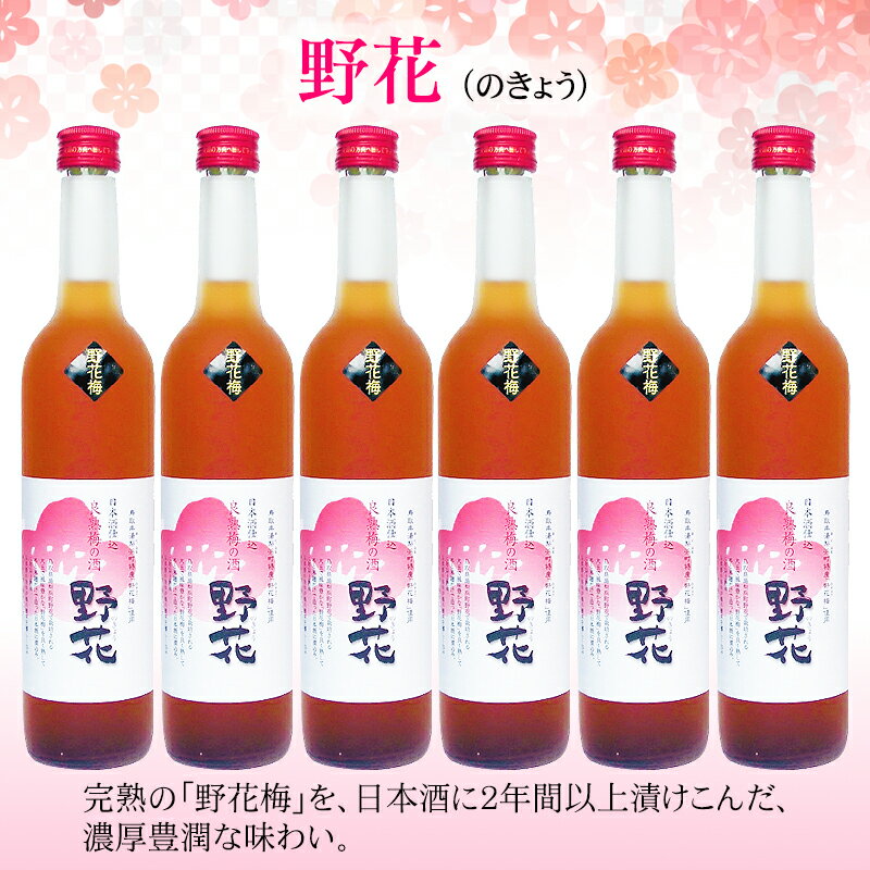 【ふるさと納税】D25-011 鳥取県の美味しい酒　梅酒　野花（のきょう）6本セット サムネイル2