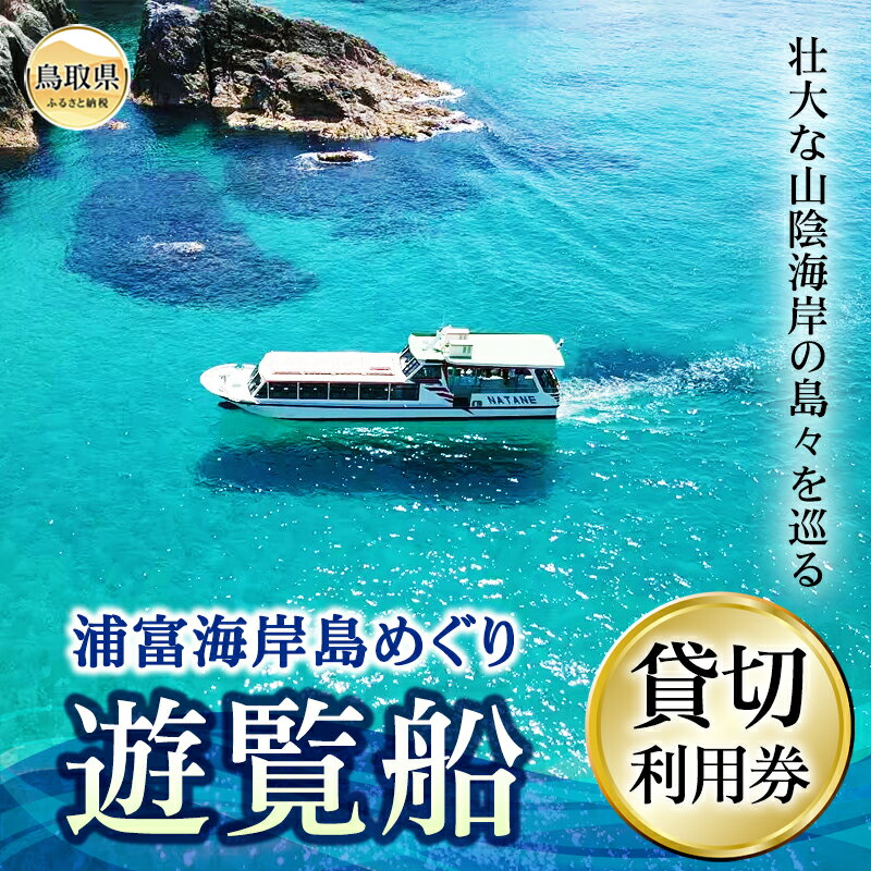 F25-006 浦富海岸島めぐり遊覧船　貸切利用券 鳥取県 おすすめ 山陰海岸 ジオパーク 遊覧船貸切 島めぐり クルーズ
