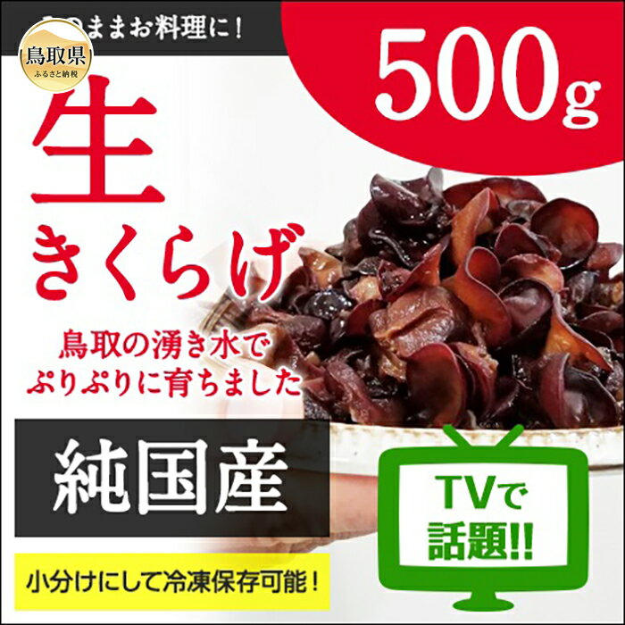 A24-164 純国産生きくらげ500g|栄養たっぷりプリプリ食感