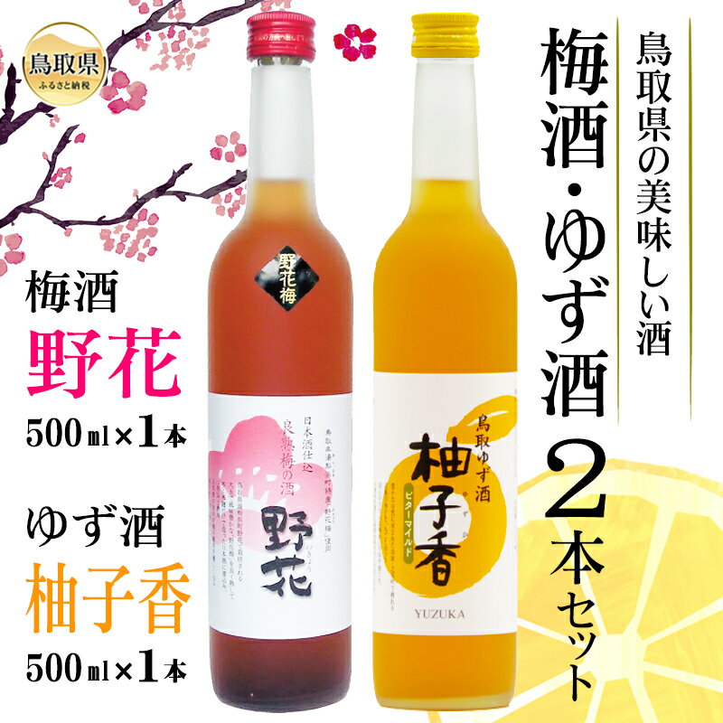 A24-051 鳥取県の美味しい酒　梅酒・ゆず酒　2本セット 鳥取県 おすすめ 柚子 濃厚 豊潤 果実酒 常温