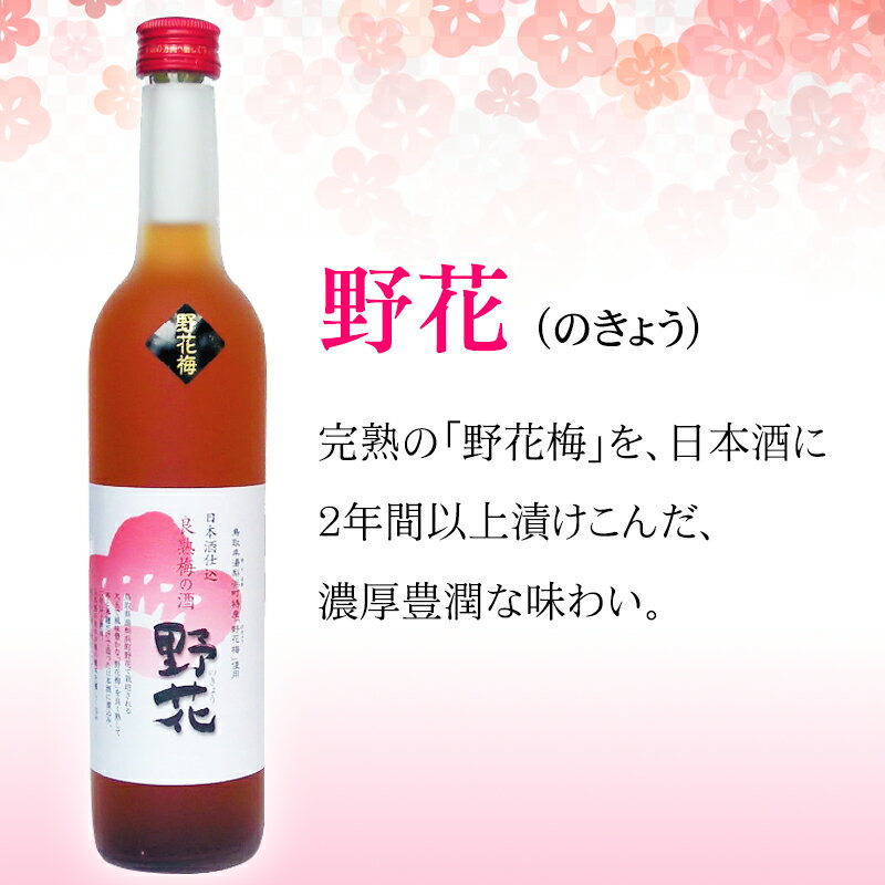 【ふるさと納税】A24-051 鳥取県の美味しい酒　梅酒・ゆず酒　2本セット 鳥取県 おすすめ 柚子 濃厚 豊潤 果実酒 常温 サムネイル2