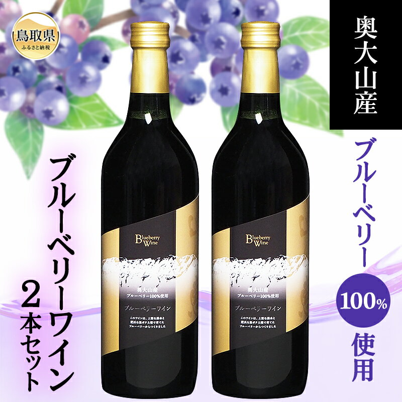 B24-161 奥大山産ブルーベリー100％使用　ブルーベリーワイン2本セット 鳥取県 おすすめ 大山 だいせん 飲料 食前酒 デザートワイン 醸造 720ml×2