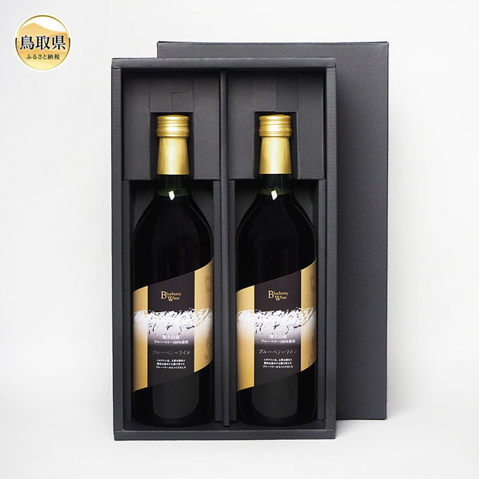 【ふるさと納税】B24-161 奥大山産ブルーベリー100％使用　ブルーベリーワイン2本セット 鳥取県 おすすめ 大山 だいせん 飲料 食前酒 デザートワイン 醸造 720ml×2 サムネイル2