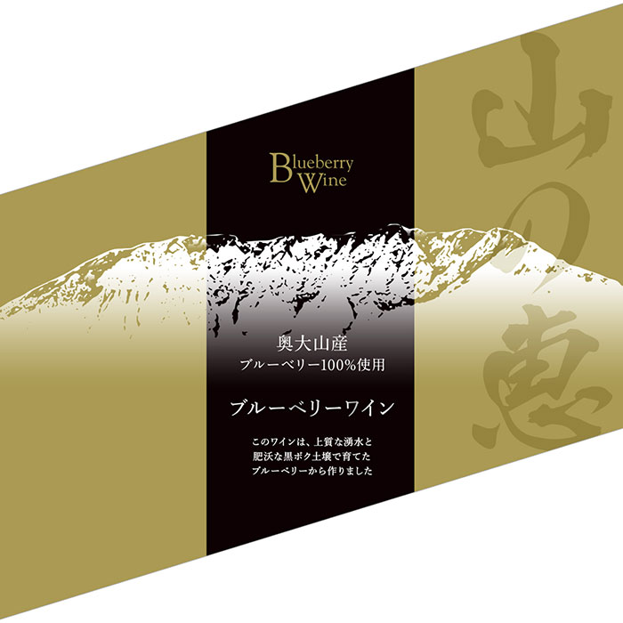 【ふるさと納税】B24-161 奥大山産ブルーベリー100％使用　ブルーベリーワイン2本セット 鳥取県 おすすめ 大山 だいせん 飲料 食前酒 デザートワイン 醸造 720ml×2 サムネイル3