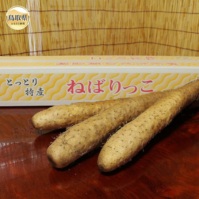 【ふるさと納税】B24-216 ねばりっこ【数量限定】 鳥取県 長芋 ながいも 新品種 - 画像2