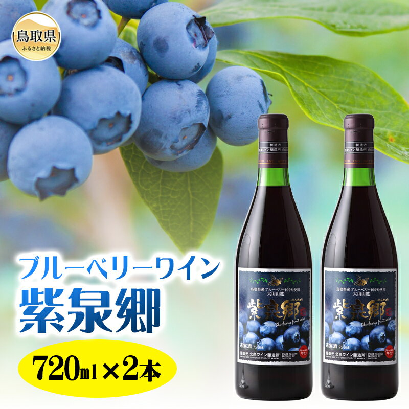 C24-164 ブルーベリーワイン紫泉郷720ml 2本セット【数量限定】