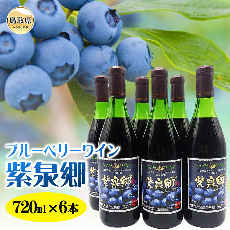 E24-005 ブルーベリーワイン紫泉郷720ml 6本セット【数量限定】