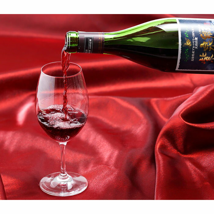 【ふるさと納税】E24-005 ブルーベリーワイン紫泉郷720ml 6本セット【数量限定】 サムネイル3