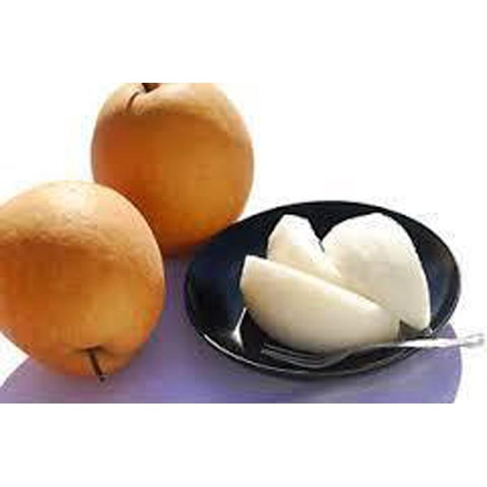 王秋梨 2.5kg【たにがみ農園】 | 鳥取 梨 なし 王秋梨 期間限定 送料無料 鳥取県 鳥取市