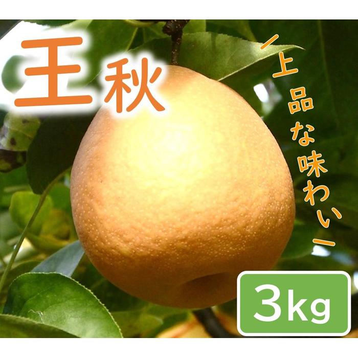 王秋梨 3kg【やぶやフルーツガーデン】 | 鳥取 梨 なし 王秋梨 期間限定 送料無料 鳥取県 鳥取市