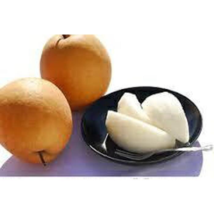 王秋梨 5kg【たにがみ農園】 | 鳥取 梨 なし 王秋梨 期間限定 送料無料 鳥取県 鳥取市