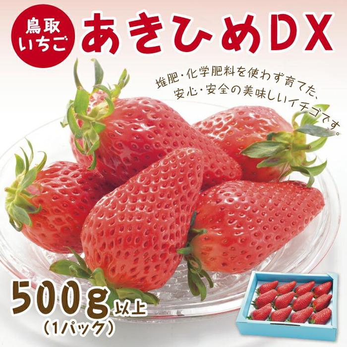 あきひめDX 500g 鳥取いちご【とみハウス】 | 果物 フルーツ 苺 イチゴ あきひめ 章姫 食品 人気 送料無料 期間限定 鳥取市 鳥取県
