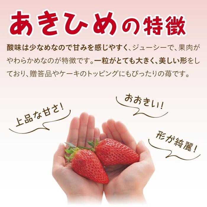 【ふるさと納税】あきひめDX 500g 鳥取いちご【とみハウス】 | 果物 フルーツ 苺 イチゴ あきひめ 章姫 食品 人気 送料無料 期間限定 鳥取市 鳥取県 サムネイル2